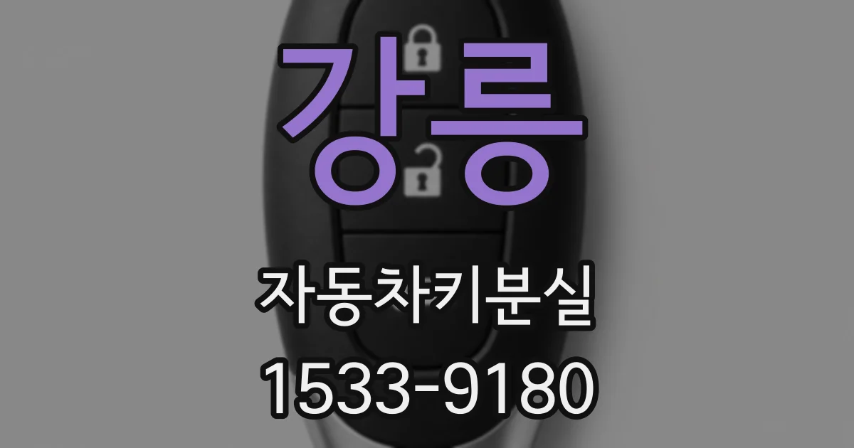 강릉 자동차키분실