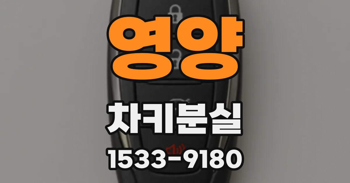 영양 차키분실