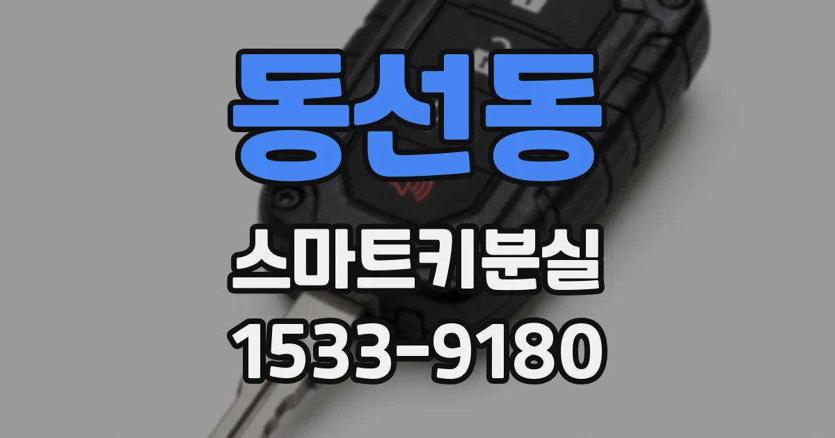 동선동 스마트키분실