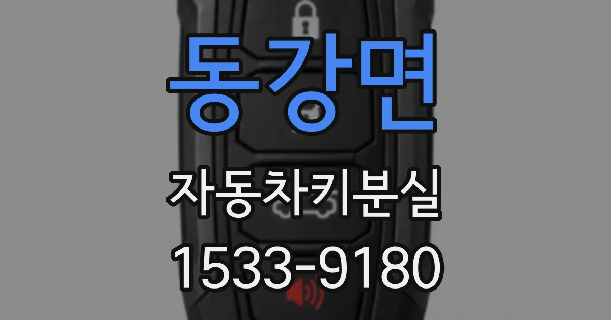 동강면 자동차키분실