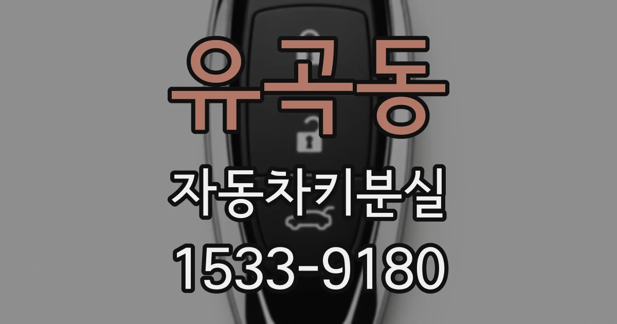 유곡동 자동차키분실