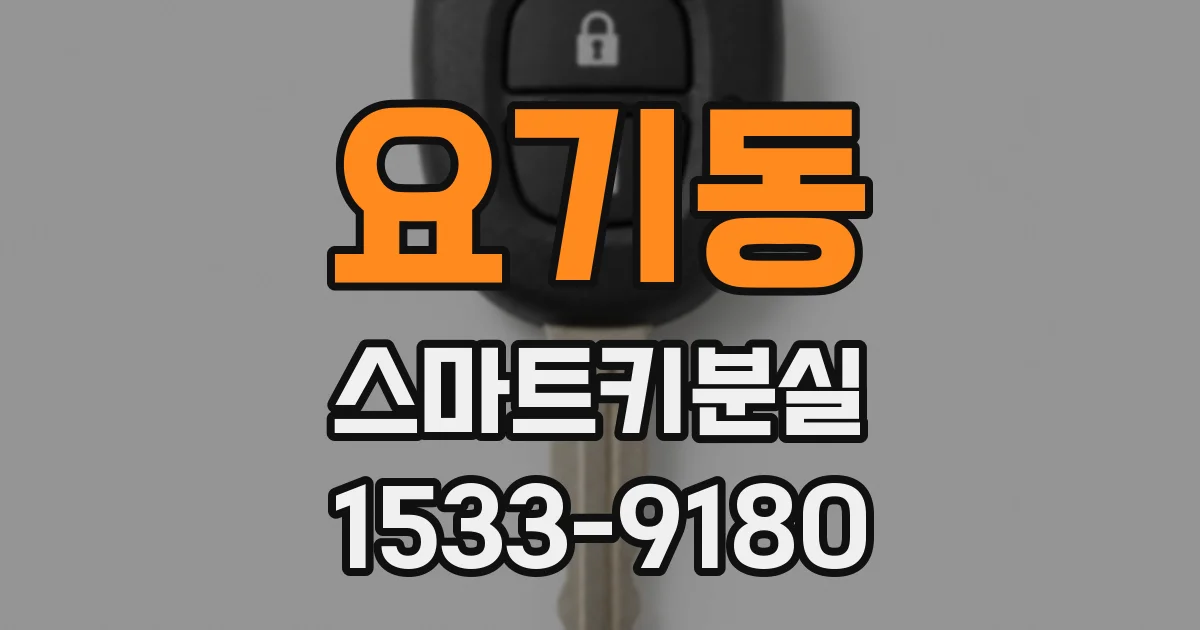 요기동 스마트키분실