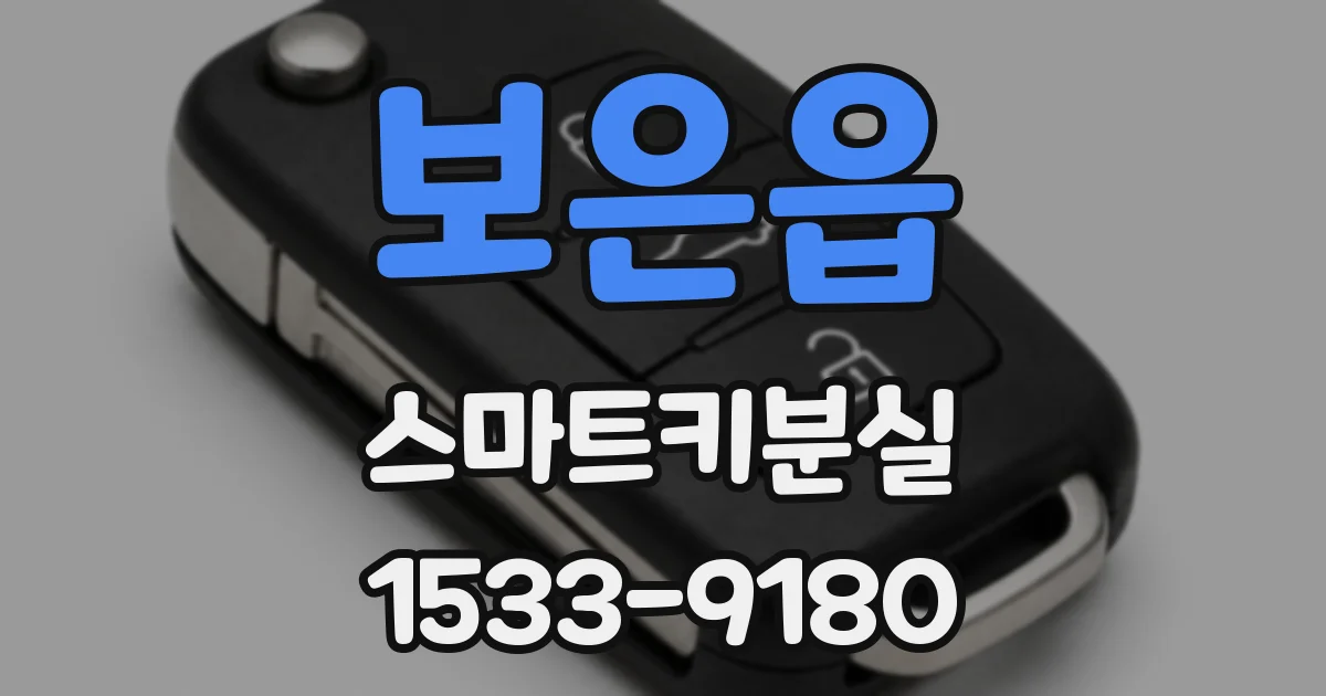 보은읍 스마트키분실