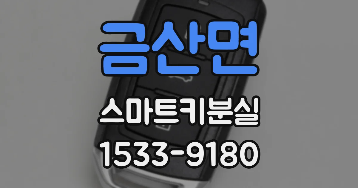 금산면 스마트키분실