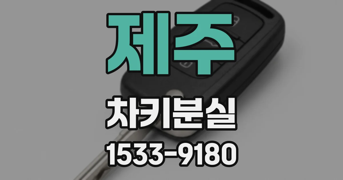 제주 차키분실