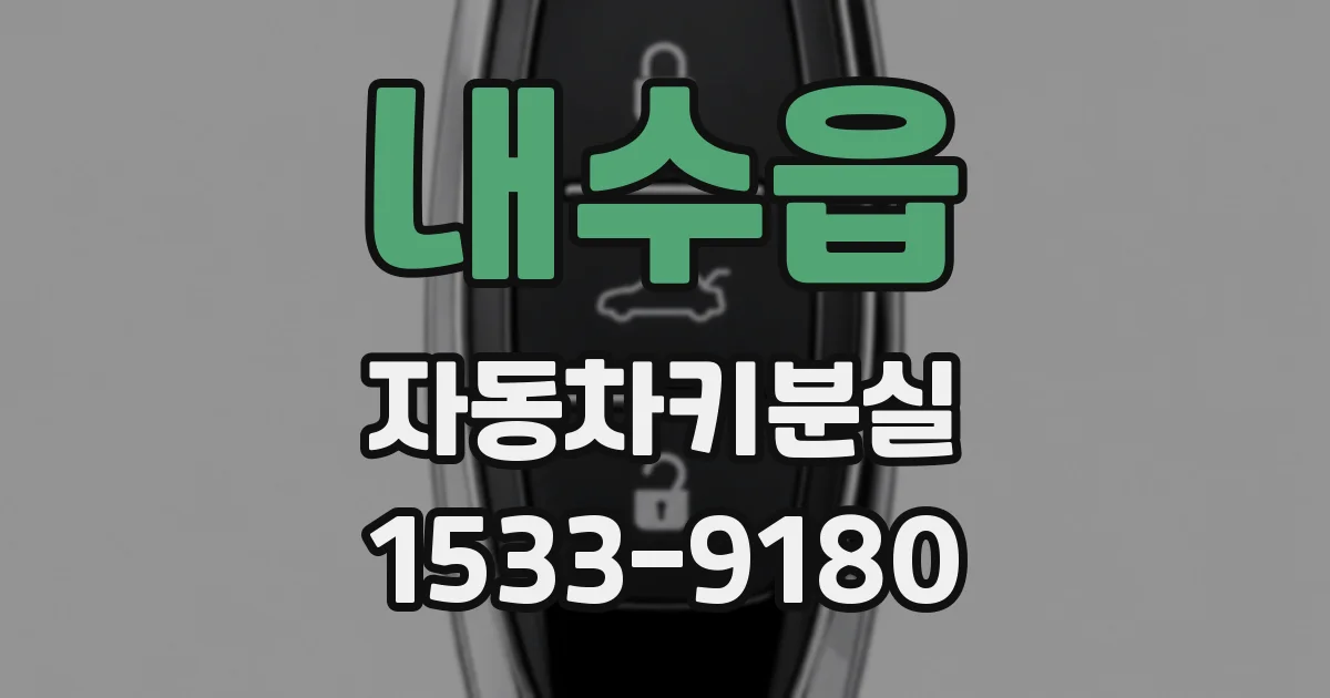내수읍 자동차키분실