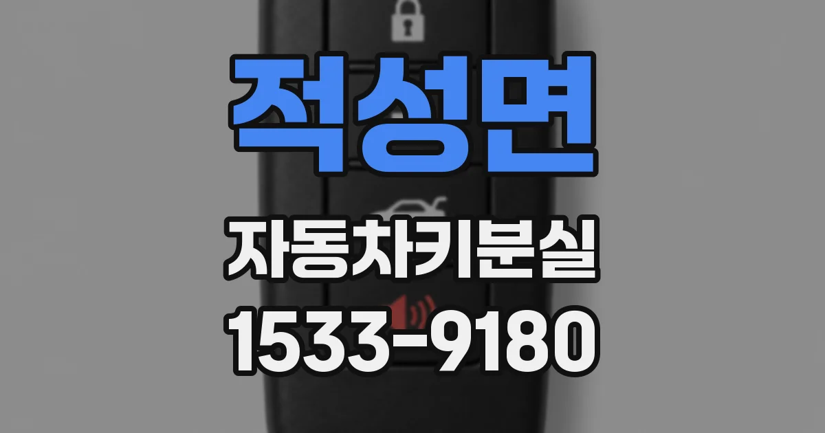 적성면 자동차키분실