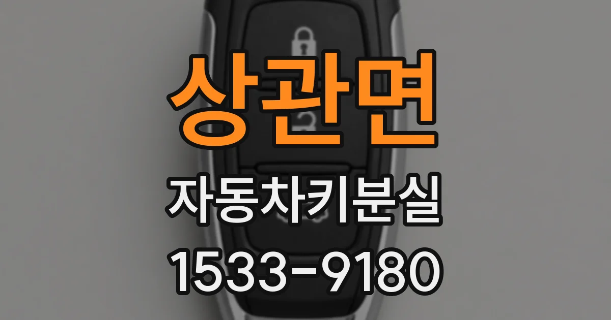 상관면 자동차키분실