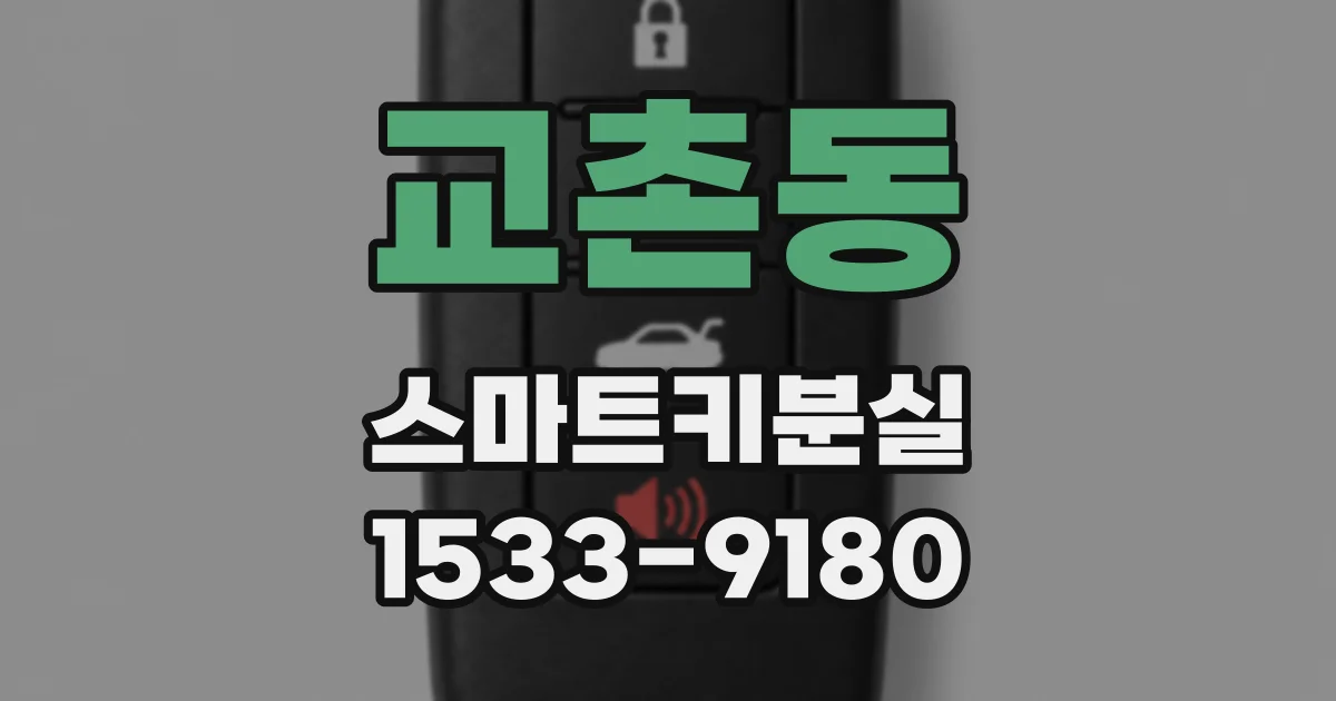 교촌동 스마트키분실