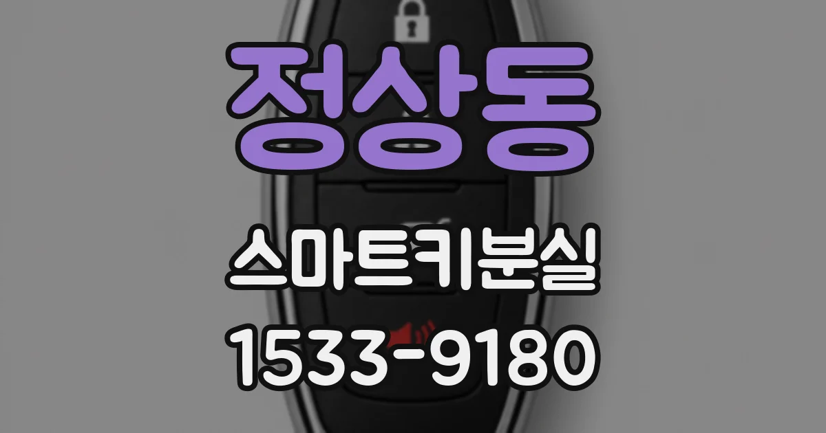 정상동 스마트키분실