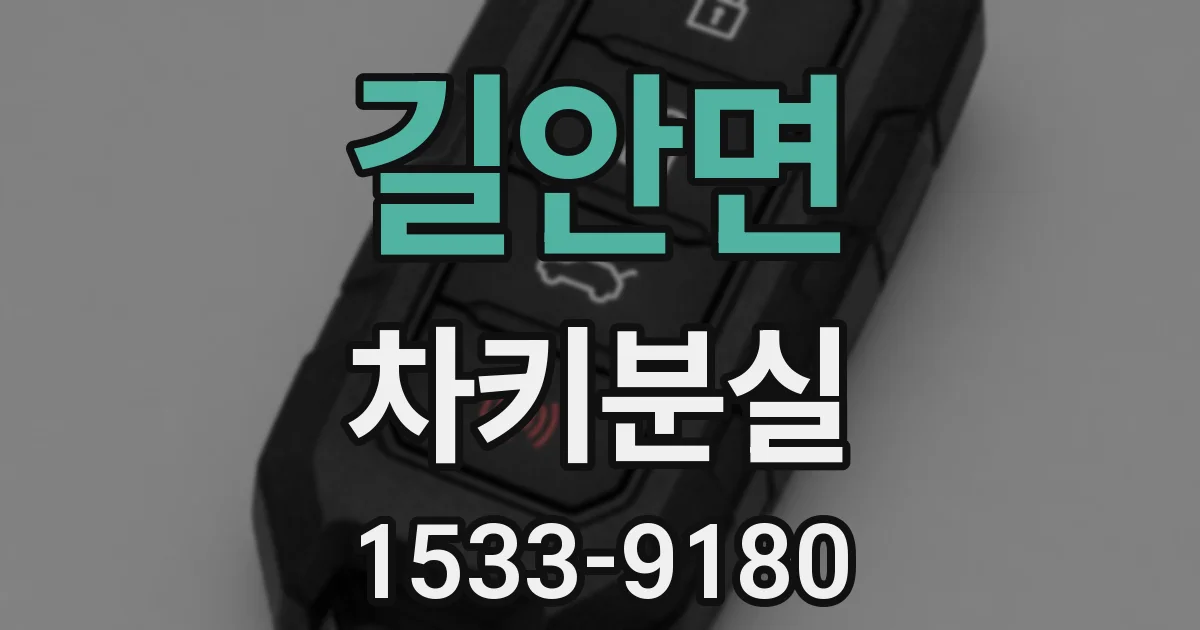 길안면 차키분실