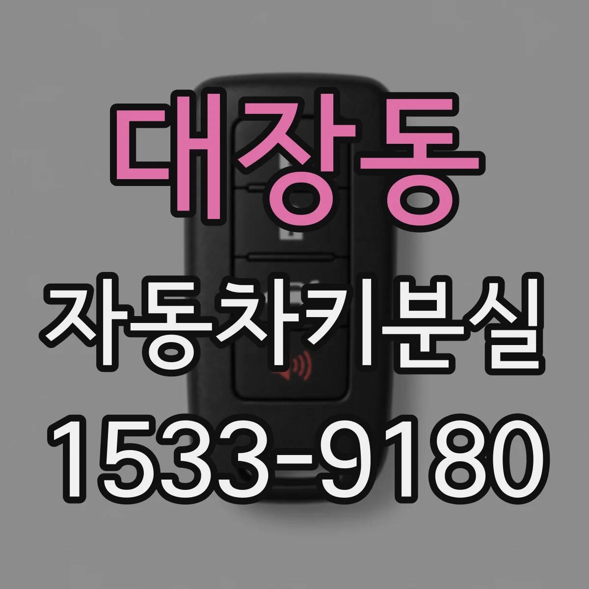 대장동 자동차키분실