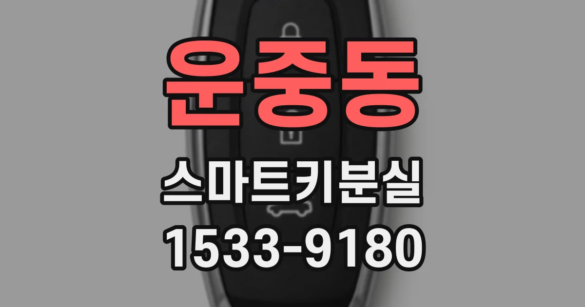 운중동 스마트키분실