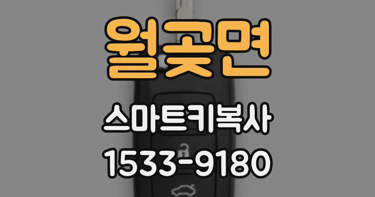 월곶면 스마트키복사