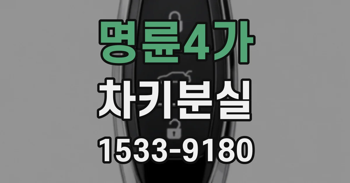 명륜4가 차키분실