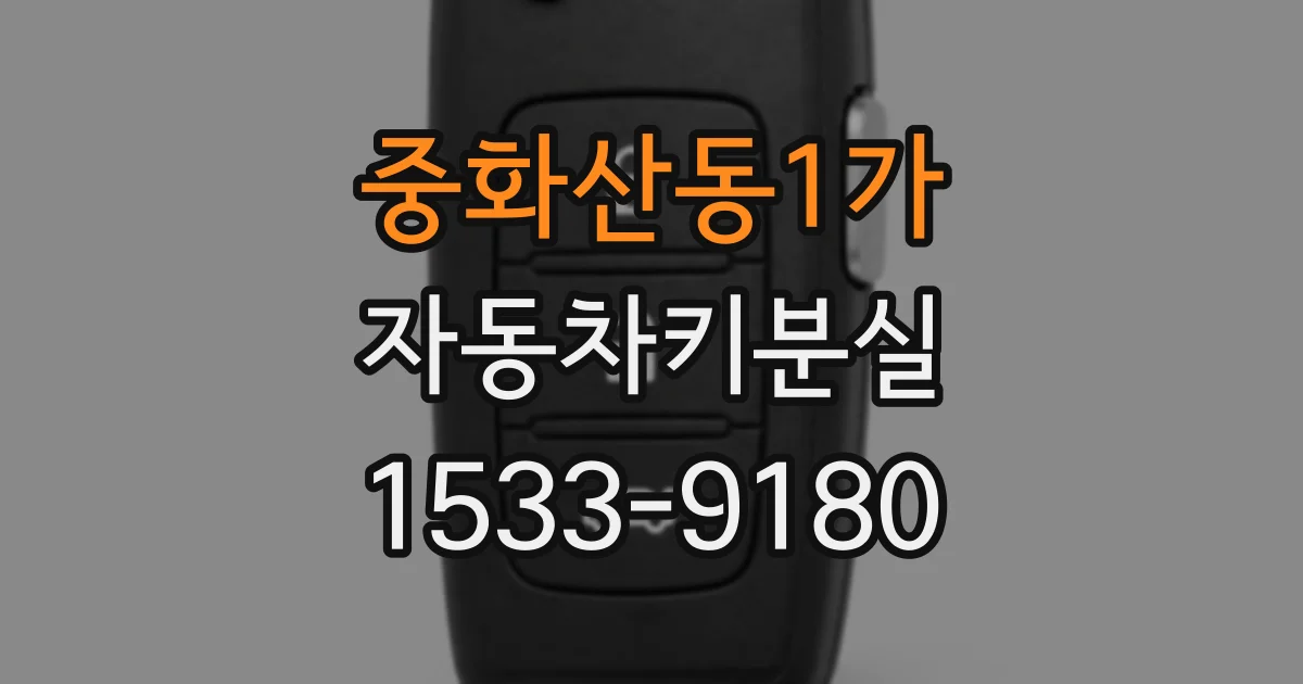 중화산동1가 자동차키분실