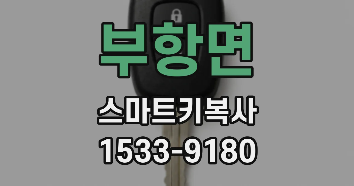 부항면 스마트키복사