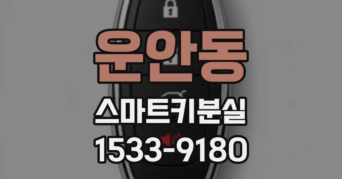 운안동 스마트키분실