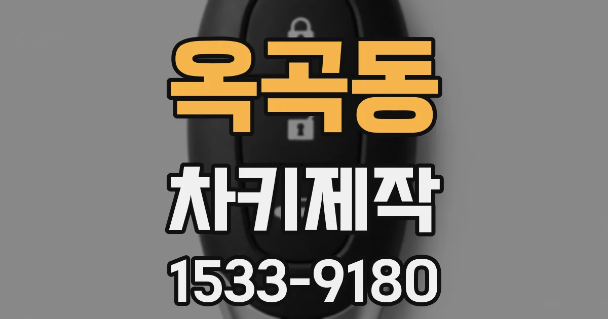 옥곡동 차키제작