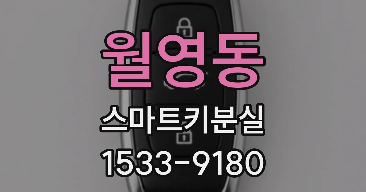 월영동 스마트키분실