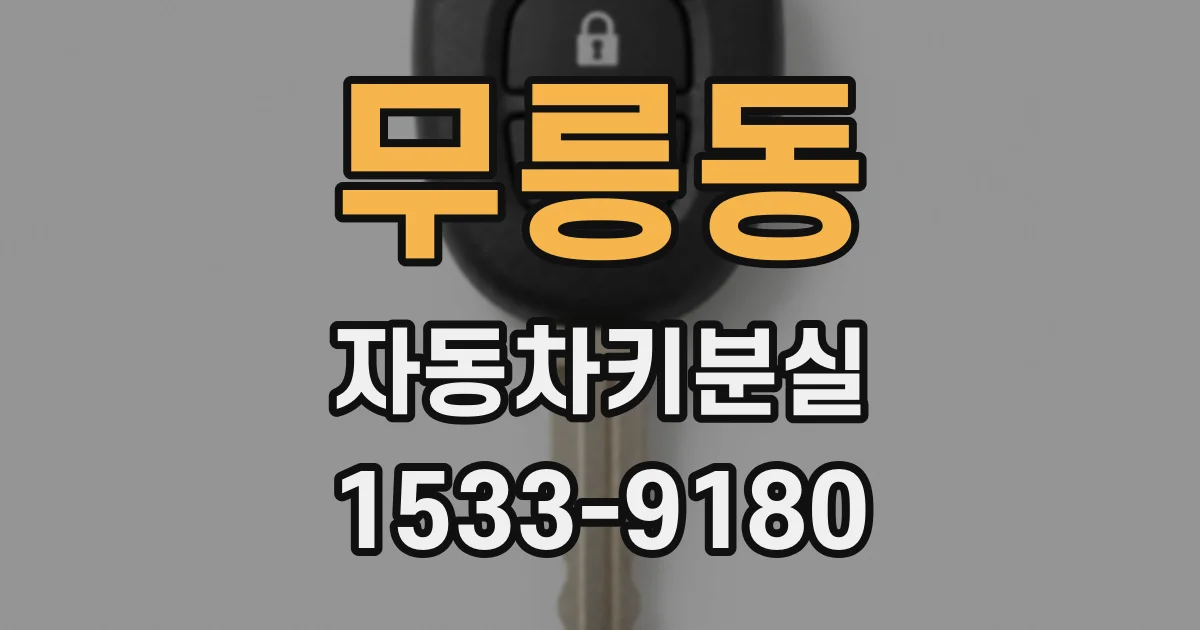 무릉동 자동차키분실