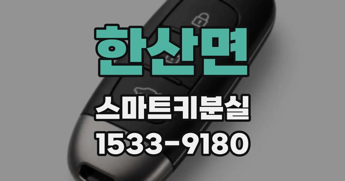한산면 스마트키분실
