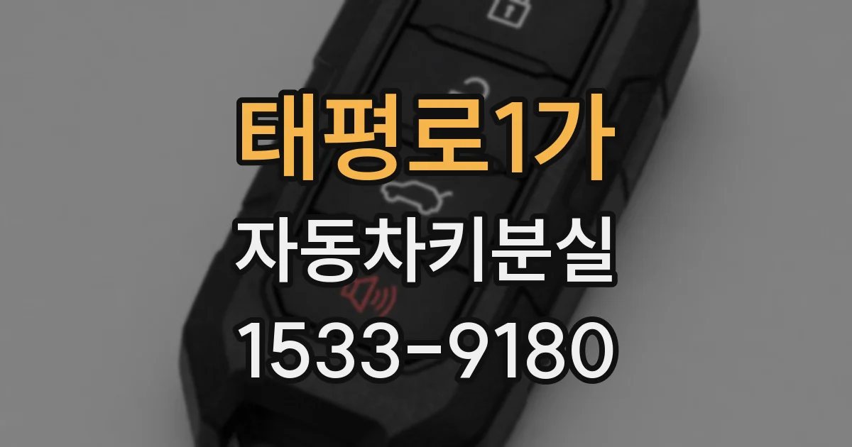 태평로1가 자동차키분실