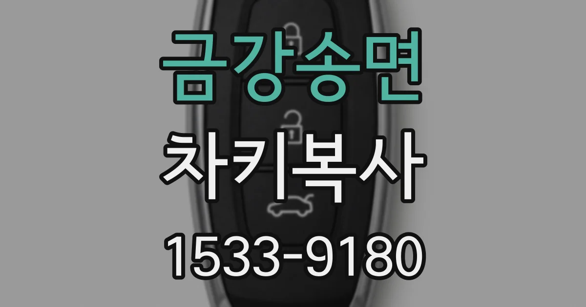 금강송면 차키복사