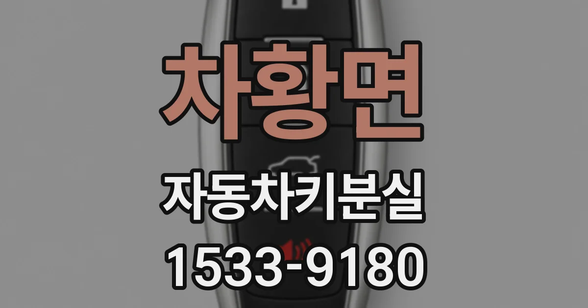 차황면 자동차키분실