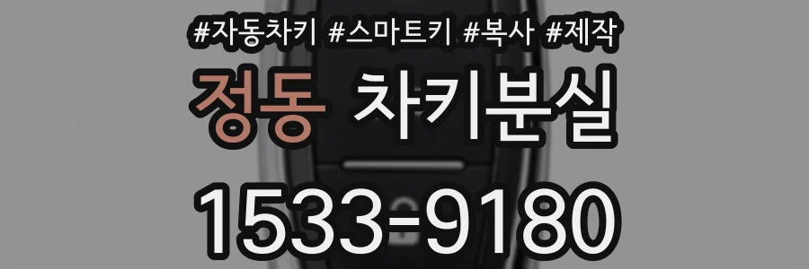 정동 차키분실
