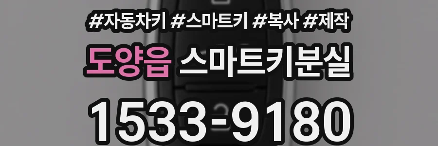 도양읍 스마트키분실