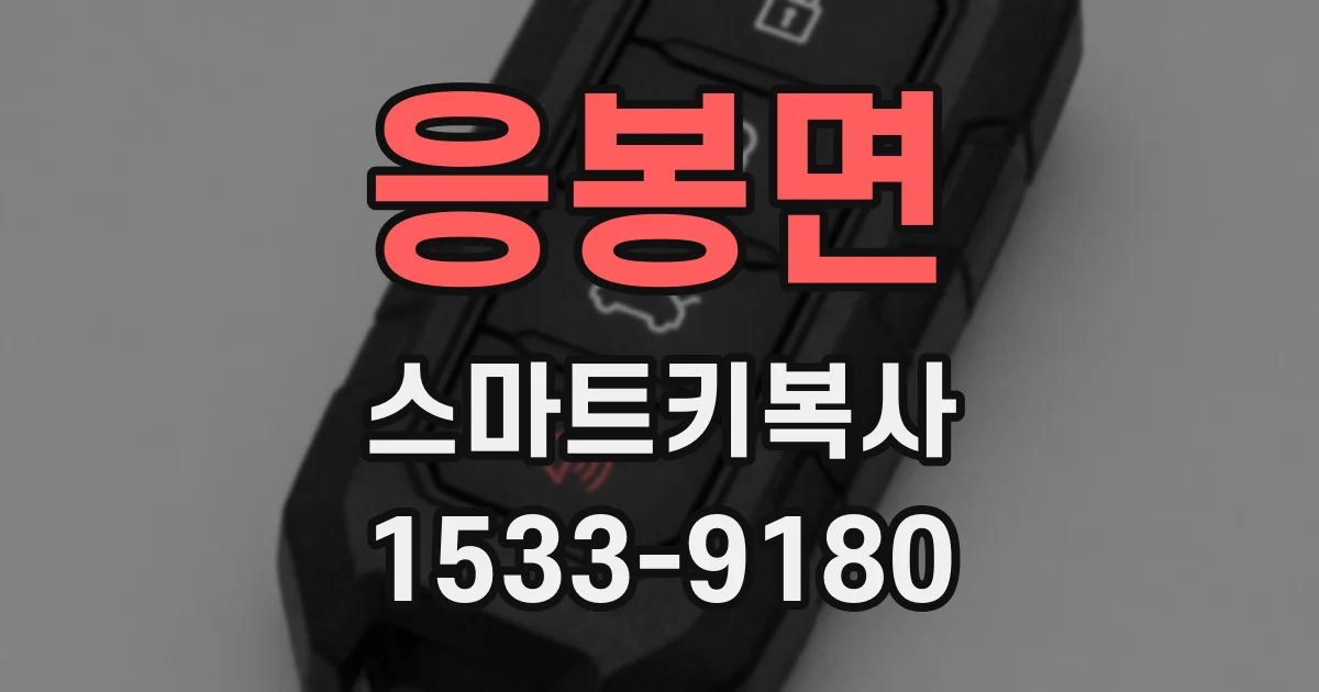 응봉면 스마트키복사