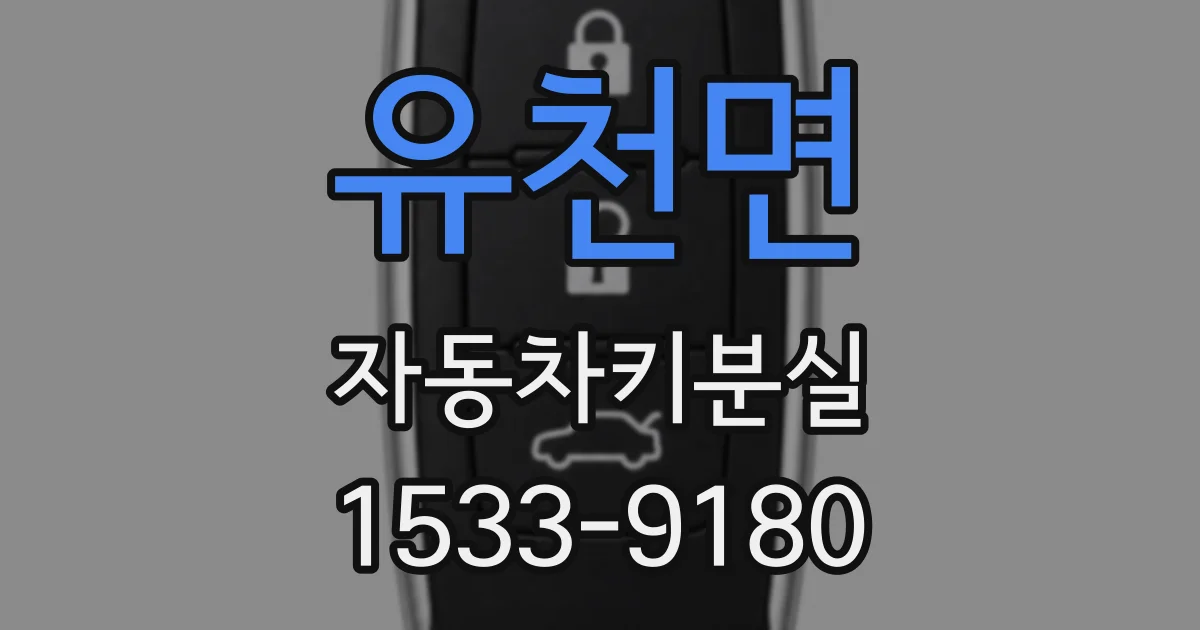 유천면 자동차키분실
