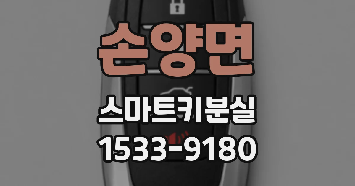 손양면 스마트키분실