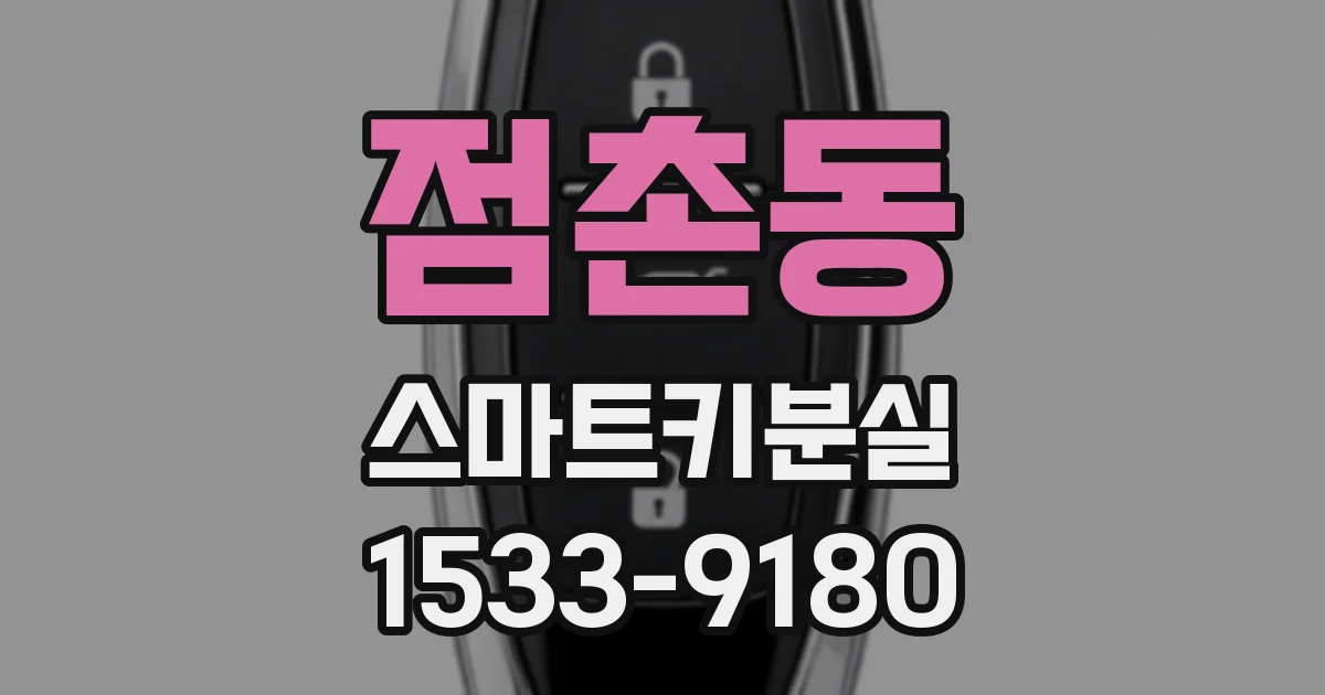 점촌동 스마트키분실