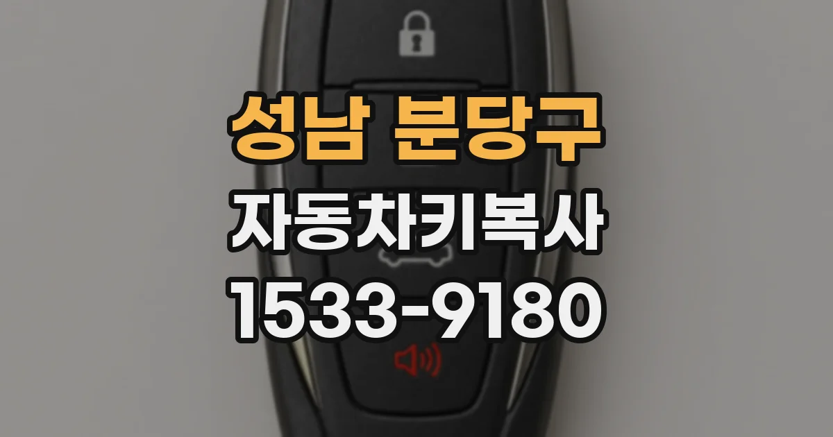 성남 분당구 자동차키복사