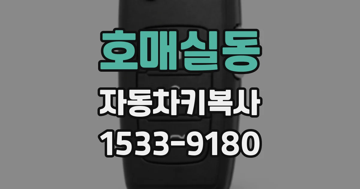 호매실동 자동차키복사