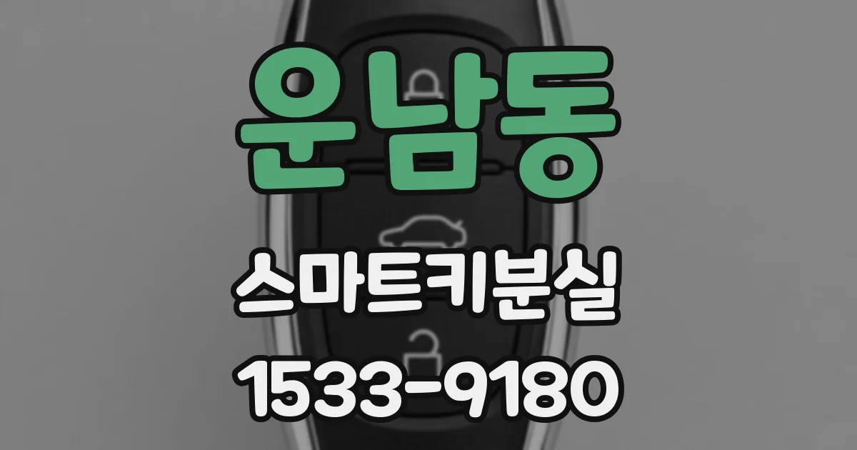 운남동 스마트키분실