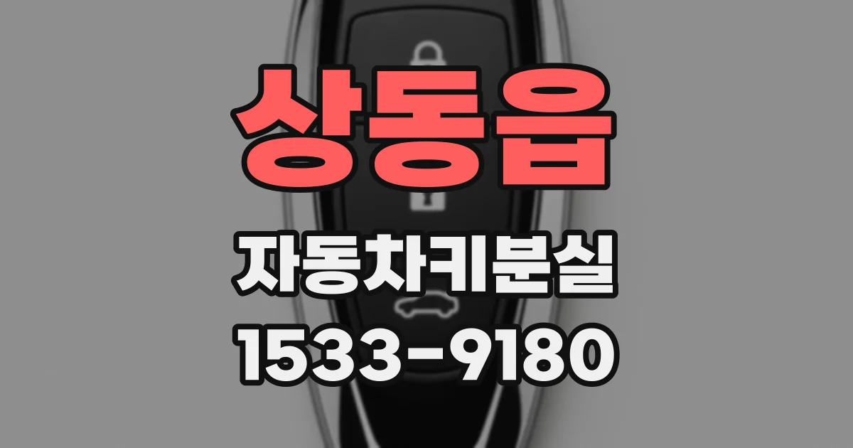 상동읍 자동차키분실