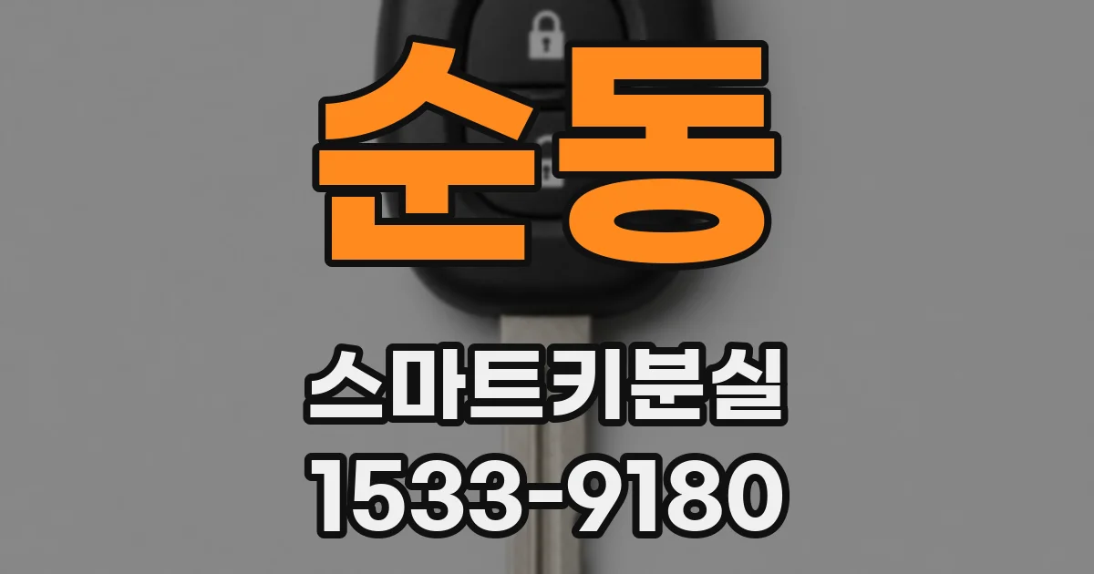 순동 스마트키분실