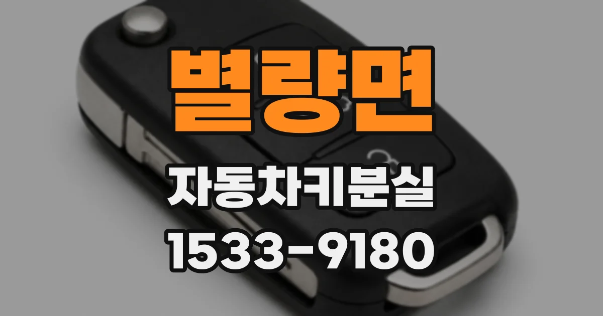 별량면 자동차키분실