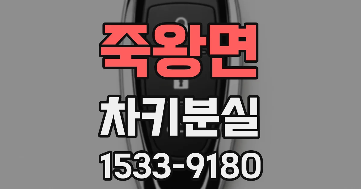 죽왕면 차키분실