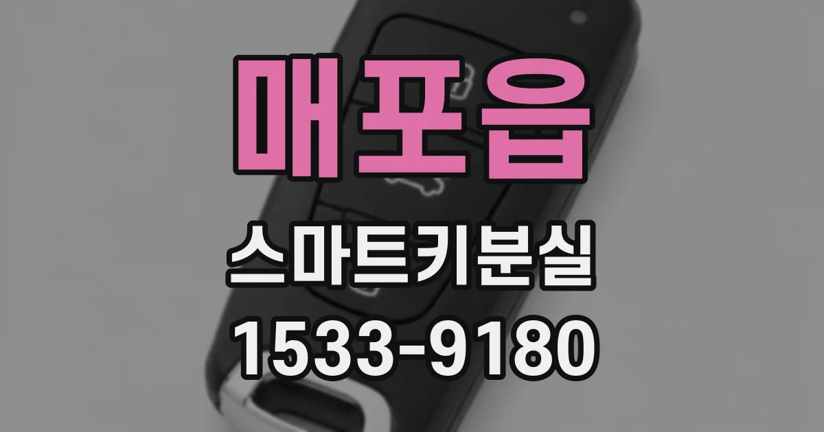 매포읍 스마트키분실