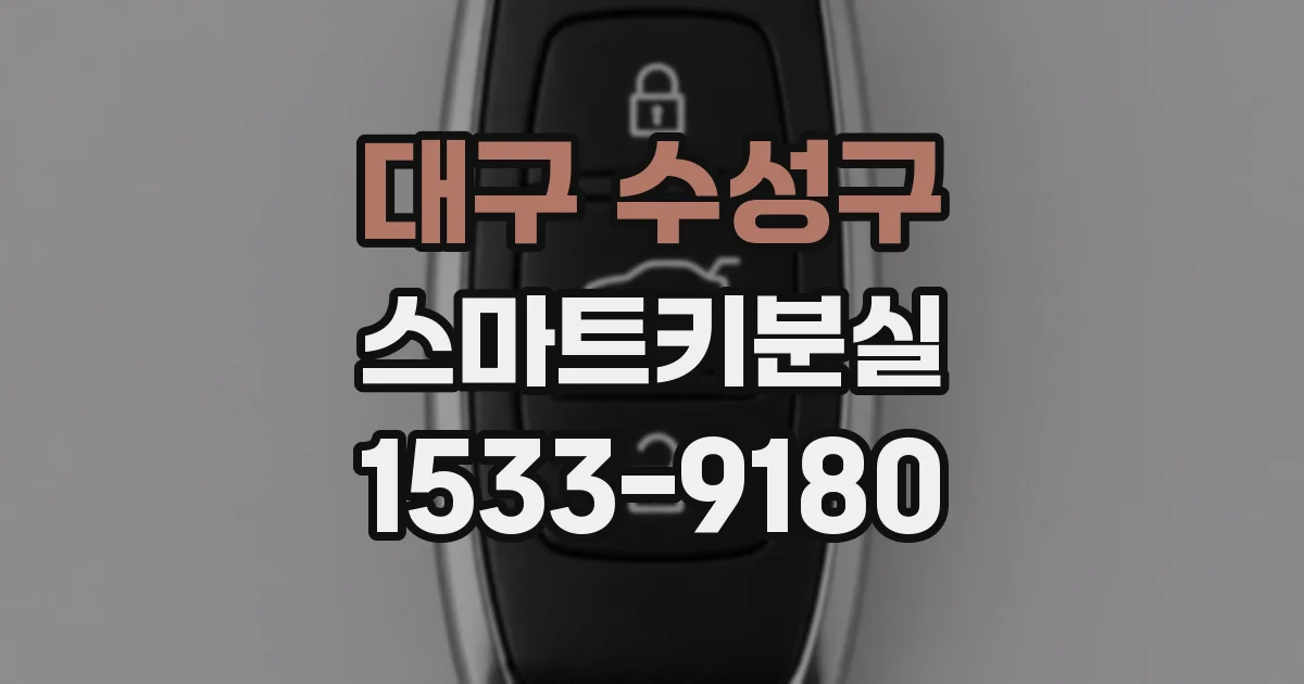 대구 수성구 스마트키분실