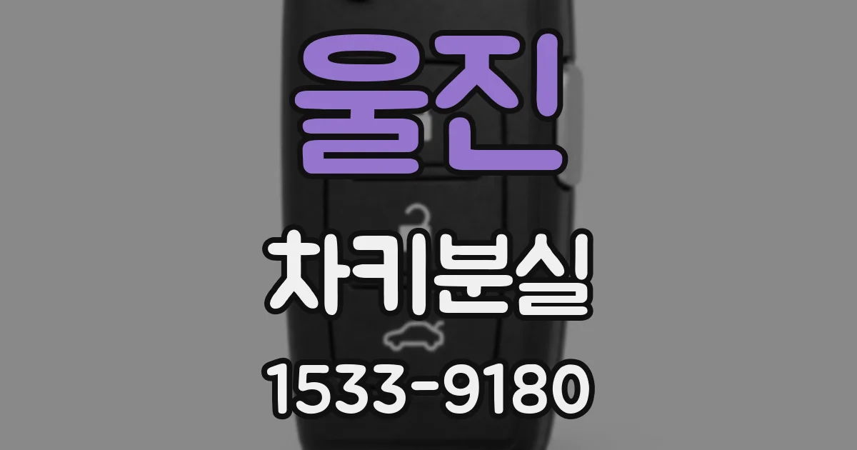 울진 차키분실