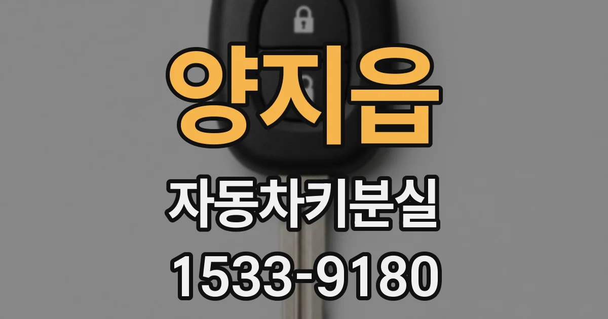 양지읍 자동차키분실