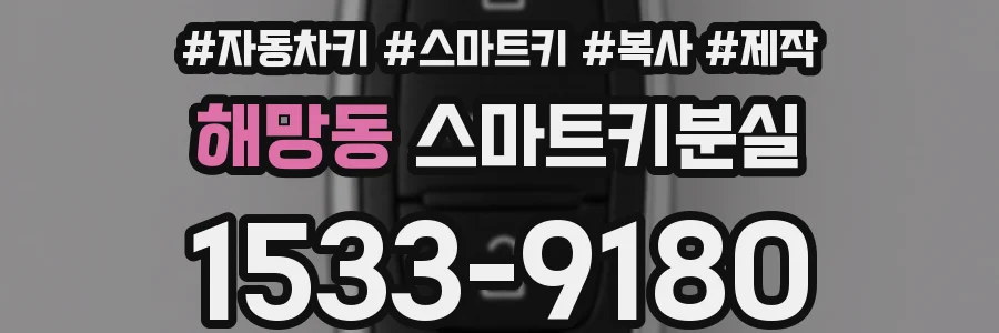 해망동 스마트키분실
