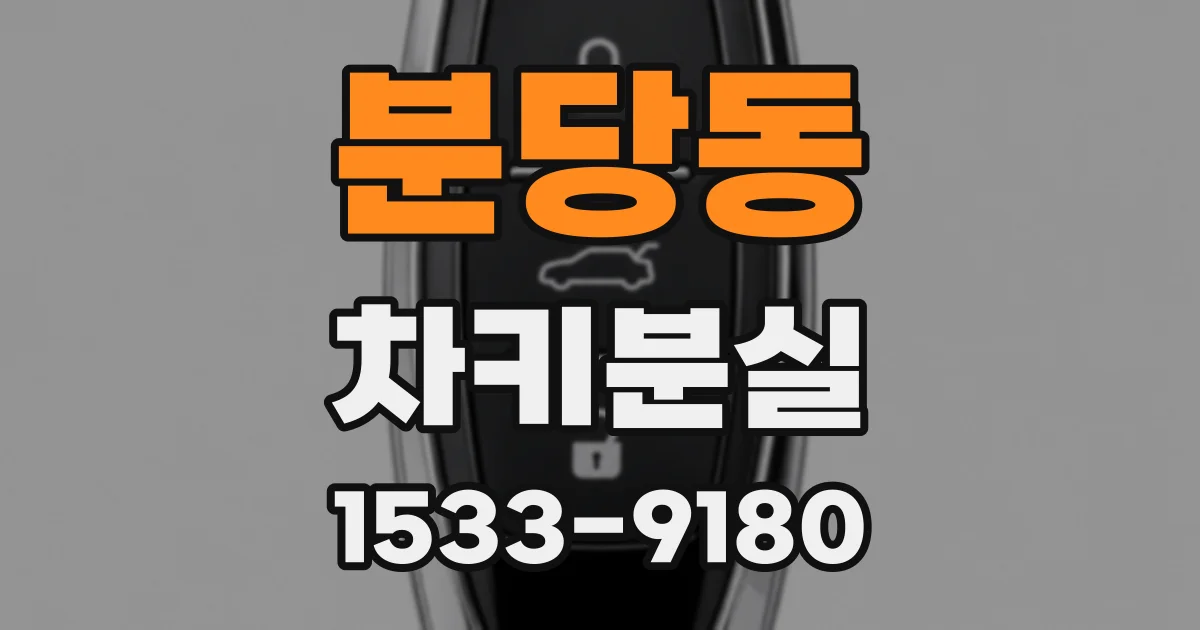 분당동 차키분실