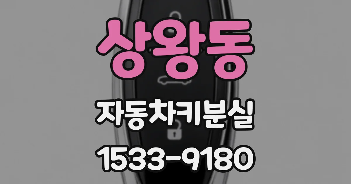 상왕동 자동차키분실