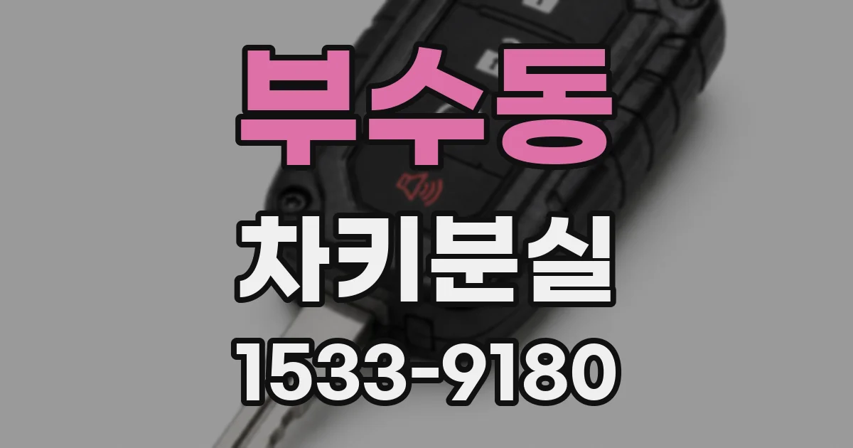 부수동 차키분실